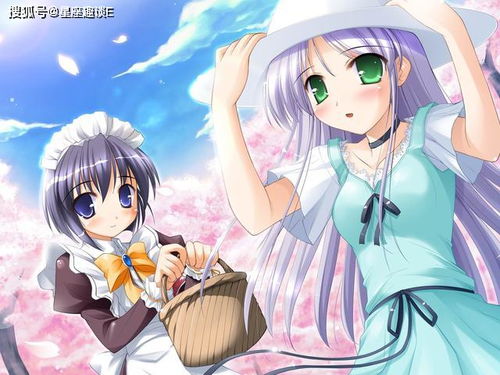 get_img?key=695c81789ed2ff4c0c952cb4