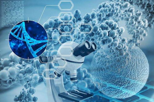 get_img?key=695c81a59ed2ff4c0c953187