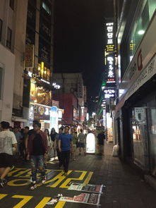 get_img?key=695c81a69ed2ff4c0c95319c