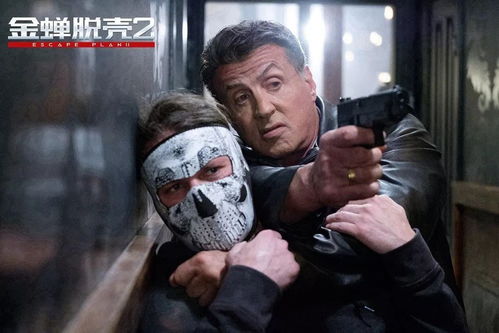 get_img?key=695c81a79ed2ff4c0c9531ce