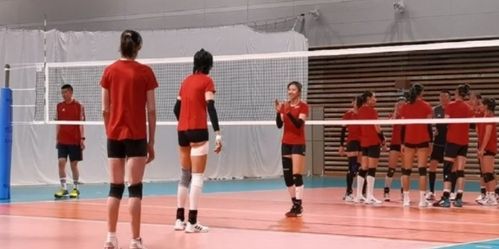 get_img?key=695c81fa9ed2ff4c0c953b84