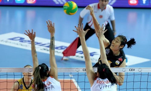 get_img?key=695c81fa9ed2ff4c0c953b86