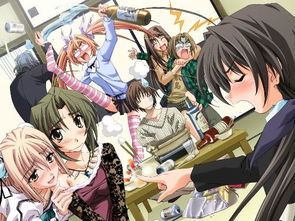 get_img?key=695c820f9ed2ff4c0c953e4e