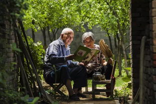 get_img?key=695c827a9ed2ff4c0c954787