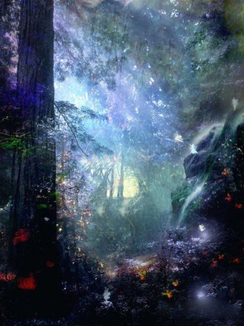 get_img?key=695c82af9ed2ff4c0c954d41