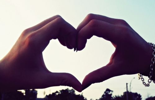 get_img?key=695c83159ed2ff4c0c95579c