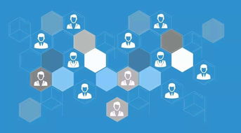 get_img?key=695c83159ed2ff4c0c9557b4