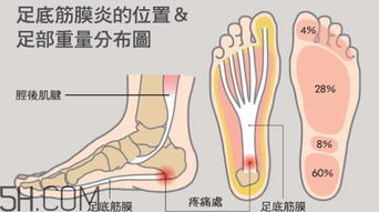 get_img?key=695c83329ed2ff4c0c955ac1