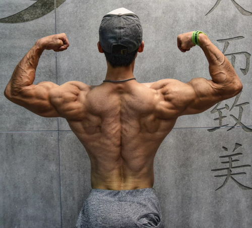 get_img?key=695c83449ed2ff4c0c955d2b