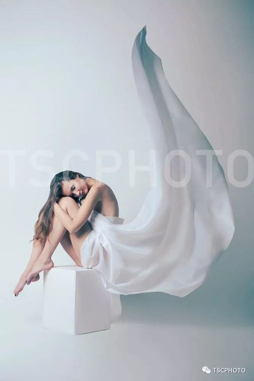 get_img?key=695c836c9ed2ff4c0c956162