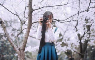 get_img?key=695c83779ed2ff4c0c956251