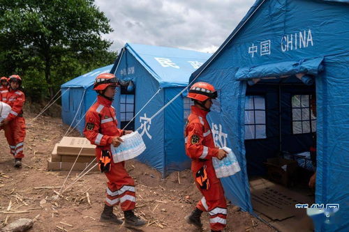 get_img?key=695c83789ed2ff4c0c956285