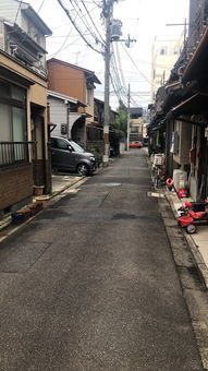 get_img?key=695c83ae9ed2ff4c0c9568fb