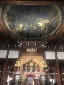 get_img?key=695c83ae9ed2ff4c0c9568fd