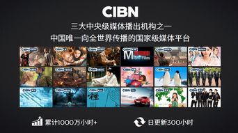 get_img?key=695c87199ed2ff4c0c95acce