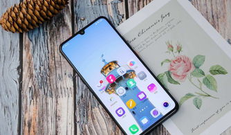 get_img?key=695cadea9ed2ff4c0c987618