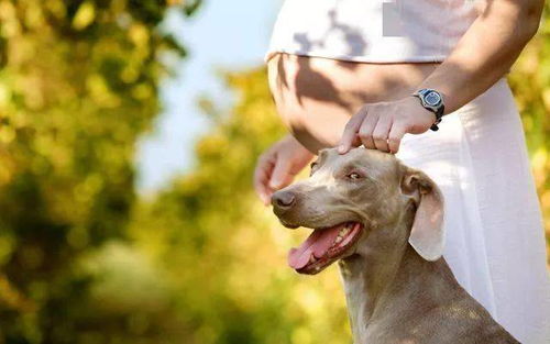 get_img?key=695cae909ed2ff4c0c9ab9c0