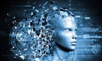 get_img?key=695caec69ed2ff4c0c9b6f26