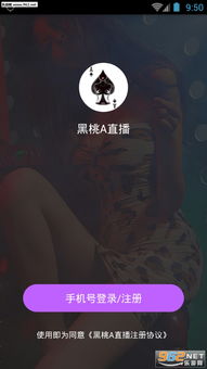 get_img?key=695caec79ed2ff4c0c9b6f5d