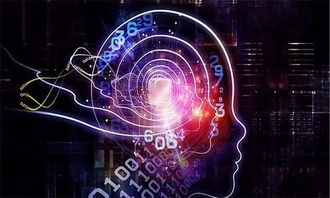 get_img?key=695caf179ed2ff4c0c9b79e2