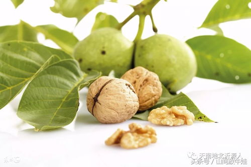 get_img?key=695caf869ed2ff4c0c9b84c0