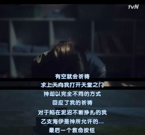 get_img?key=695cb0139ed2ff4c0c9b92f6