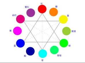 get_img?key=695cb0389ed2ff4c0c9b96e0