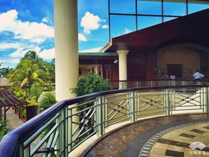 get_img?key=695cb0f89ed2ff4c0c9bad05