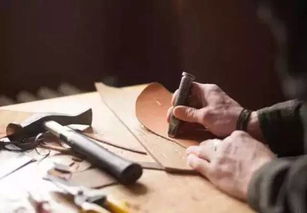 get_img?key=695cb1909ed2ff4c0c9bba3a