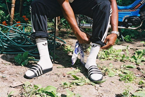 get_img?key=695cb1d09ed2ff4c0c9bc4d1