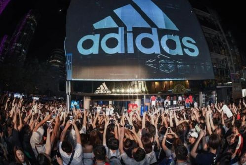 get_img?key=695cb22d9ed2ff4c0c9bcefd