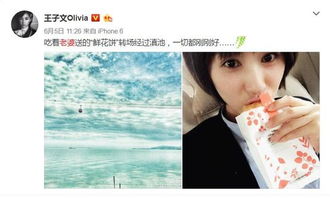 get_img?key=695cb2439ed2ff4c0c9bd114