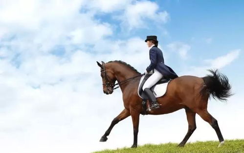 get_img?key=695cb2659ed2ff4c0c9bd41b