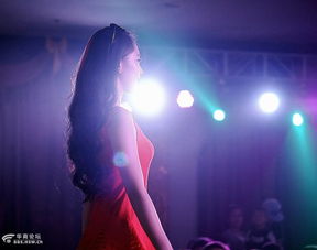 get_img?key=695cb2879ed2ff4c0c9bd77d