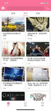 get_img?key=695cb2a59ed2ff4c0c9bda8f