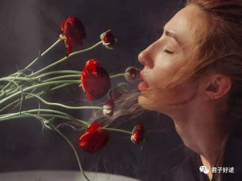 get_img?key=695cb2b99ed2ff4c0c9bde8a