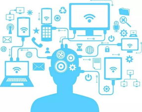 get_img?key=695cb2bb9ed2ff4c0c9bdf24