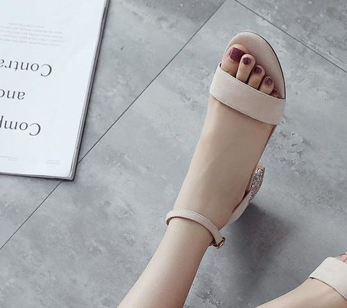 get_img?key=695cb2cc9ed2ff4c0c9be13e