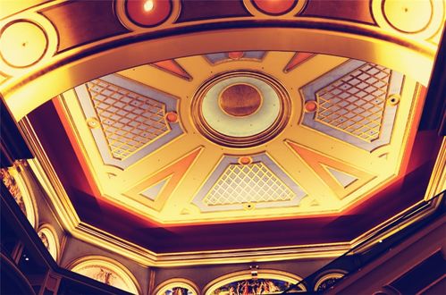 get_img?key=695cb2ce9ed2ff4c0c9be1da