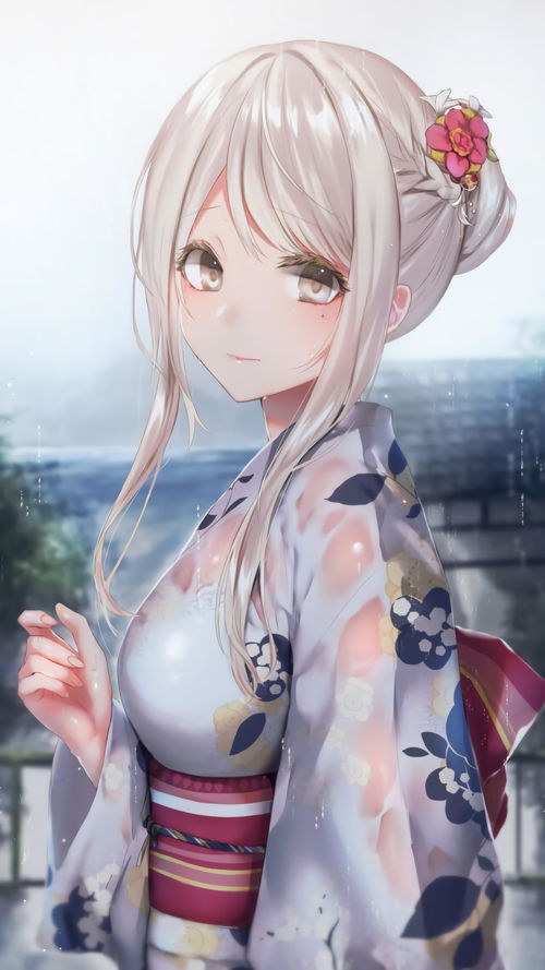 get_img?key=695cb2dd9ed2ff4c0c9be39c