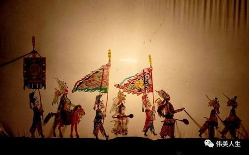 get_img?key=695cb2f39ed2ff4c0c9be670