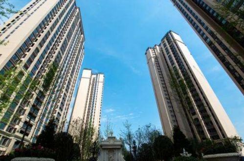 get_img?key=695cb3449ed2ff4c0c9befbb