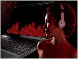 get_img?key=695cb3459ed2ff4c0c9bf007