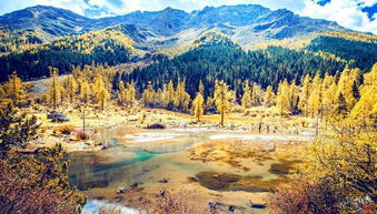 get_img?key=695cb3699ed2ff4c0c9bf688