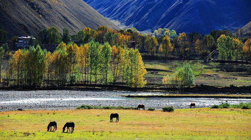 get_img?key=695cb3699ed2ff4c0c9bf68a