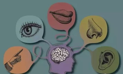 get_img?key=695cb3829ed2ff4c0c9bf985