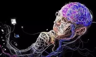 get_img?key=695cb3829ed2ff4c0c9bf98d