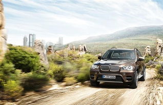 get_img?key=695cb3839ed2ff4c0c9bf9af