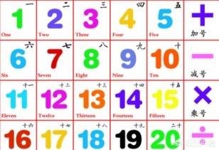 get_img?key=695cb3989ed2ff4c0c9bfce2