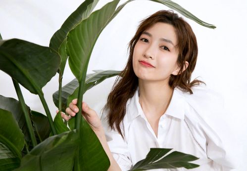 get_img?key=695cb3a39ed2ff4c0c9bfe6b